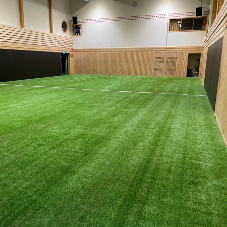 Artificial Grass