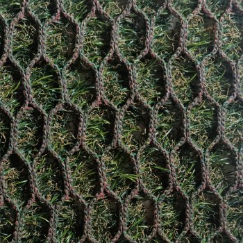 Hybrid 40 ECO, hybrid grass, 50 m2 roll